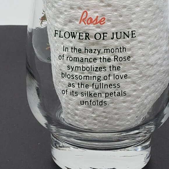 Dominion Glass Juice Tumbler Flower of June Rose 10 oz. 4 3/4 in. Tall Vintage - Picture 3 of 7